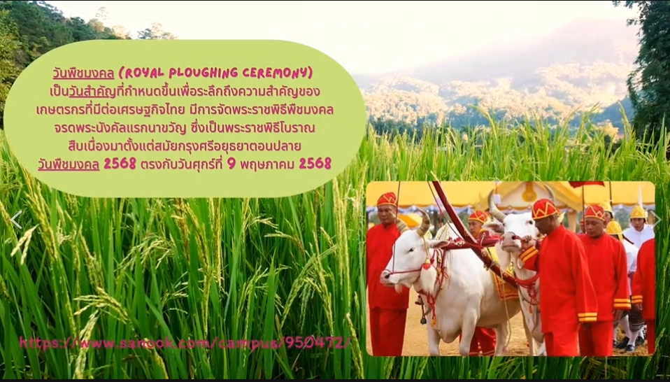 9 พฤษภาคม 2568: วันพืชมงคลจรดพระนังคัลแรกนาขวัญ