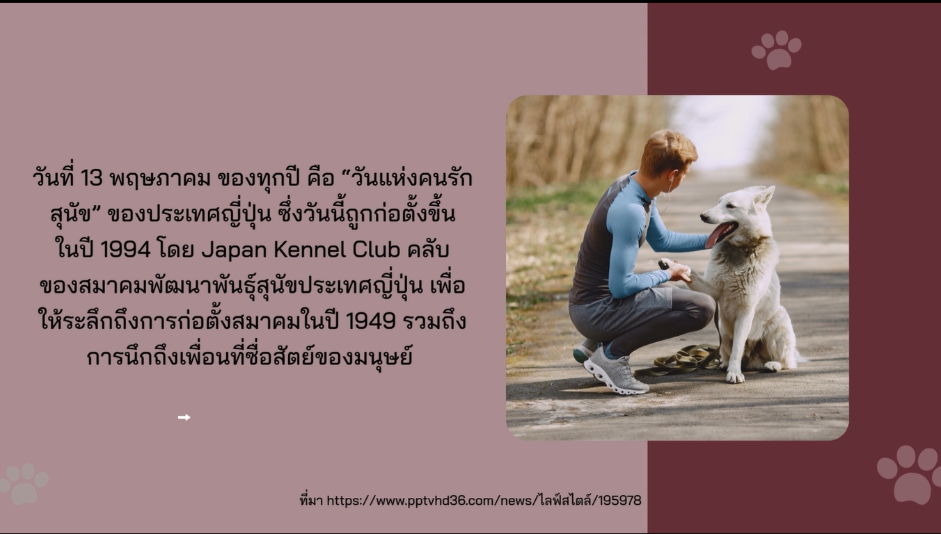 13 พฤษภาคม - วันแห่งคนรักสุนัข.