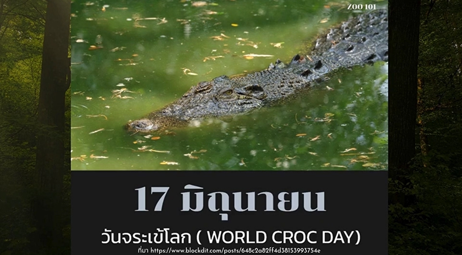 17 มิถุนายน วันจระเข้โลก (World Crocodile Day