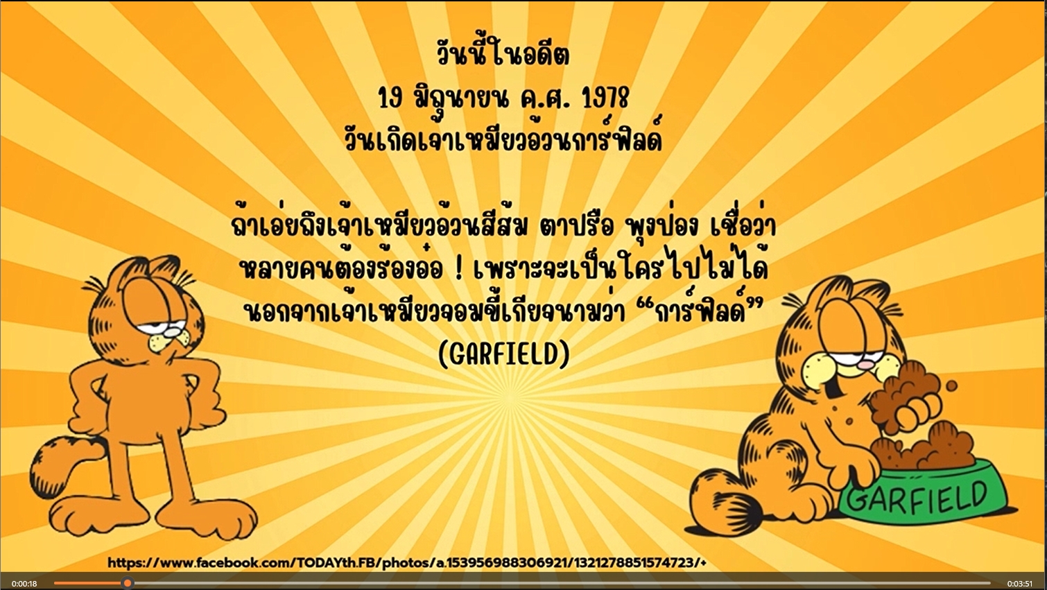 19 มิถุนายน 1978 วันแมวการ์ฟิลด์