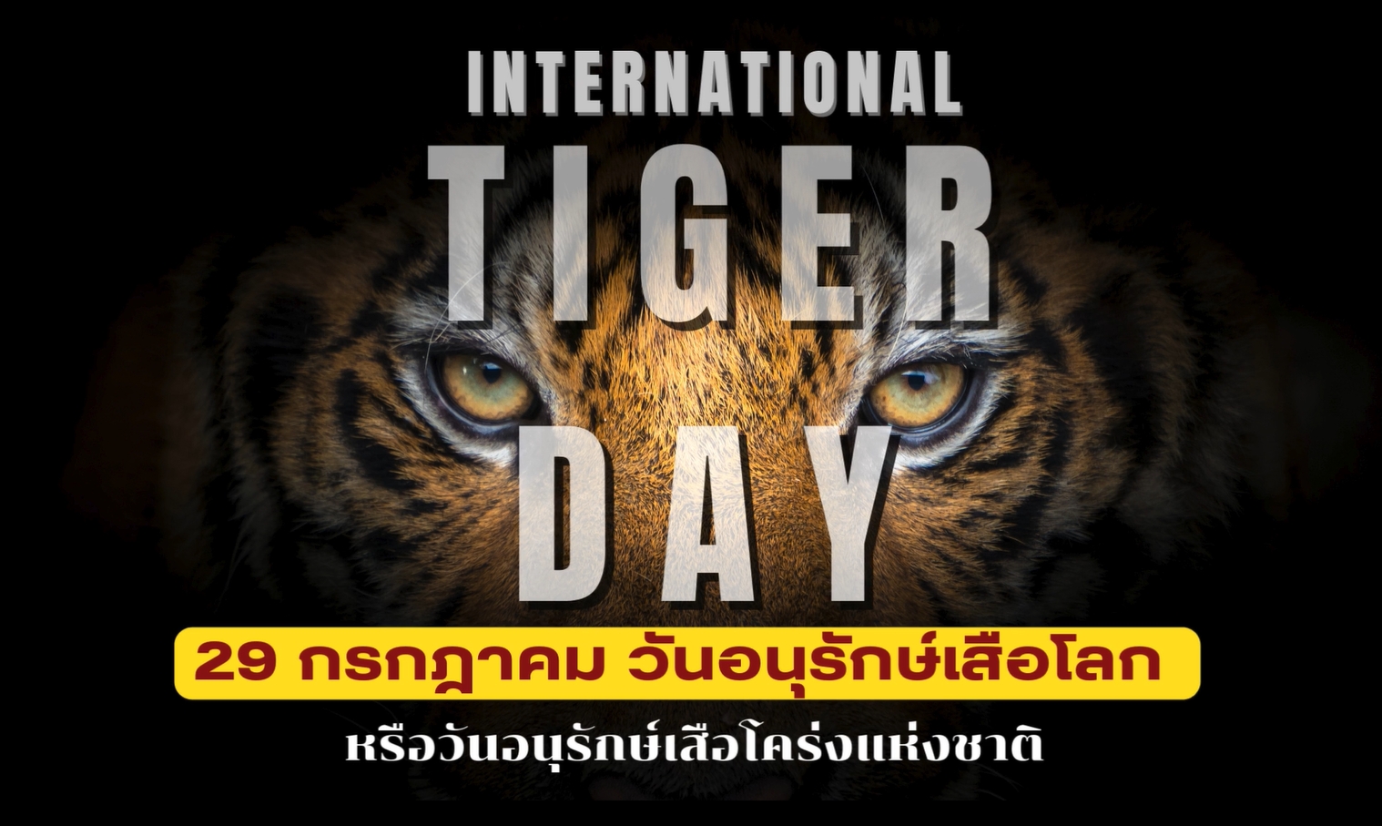 29 กรกฎาคม – วันอนุรักษ์เสือโคร่งโลก