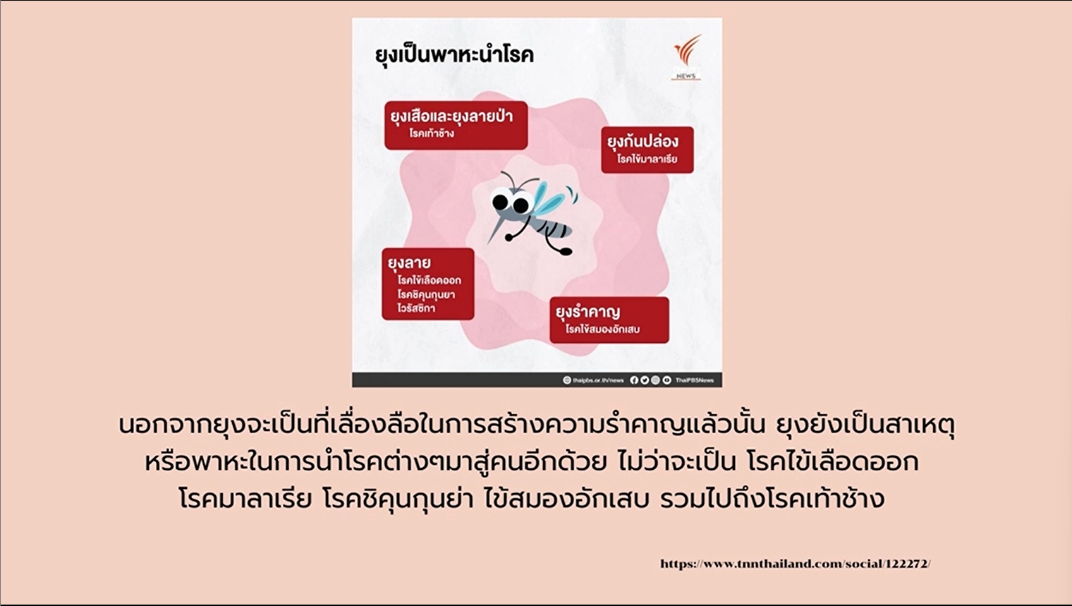20 สิงหาคม – วันยุงโลก