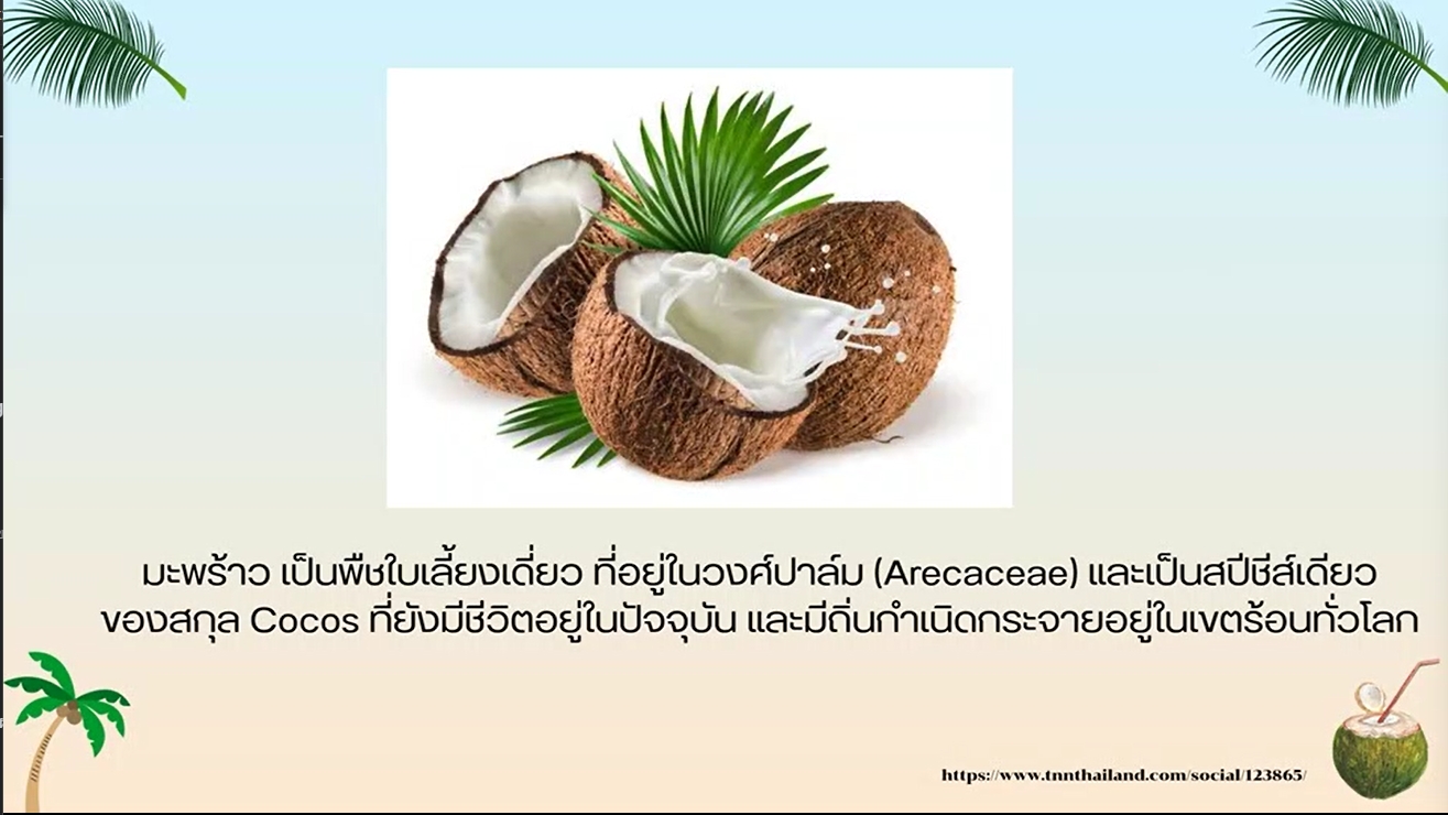 2 กันยายน - วันมะพร้าวโลก