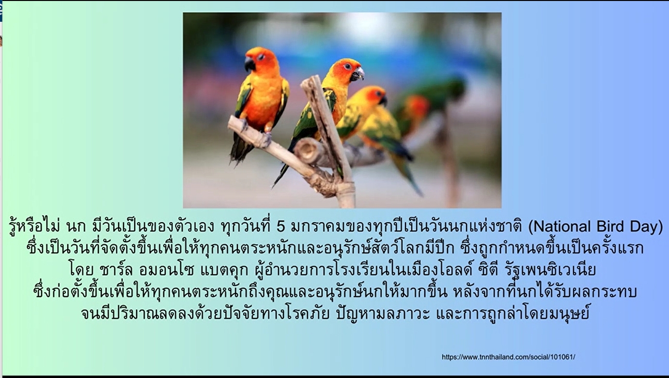 5 มกราคม - วันนกแห่งชาติ (National Bird Day)