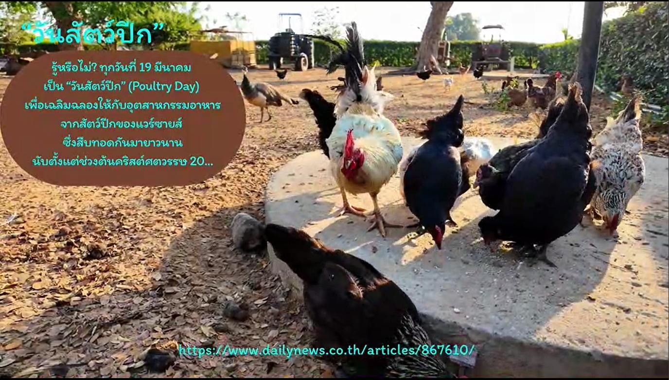 19 มีนาคม- วันสัตว์ปีก