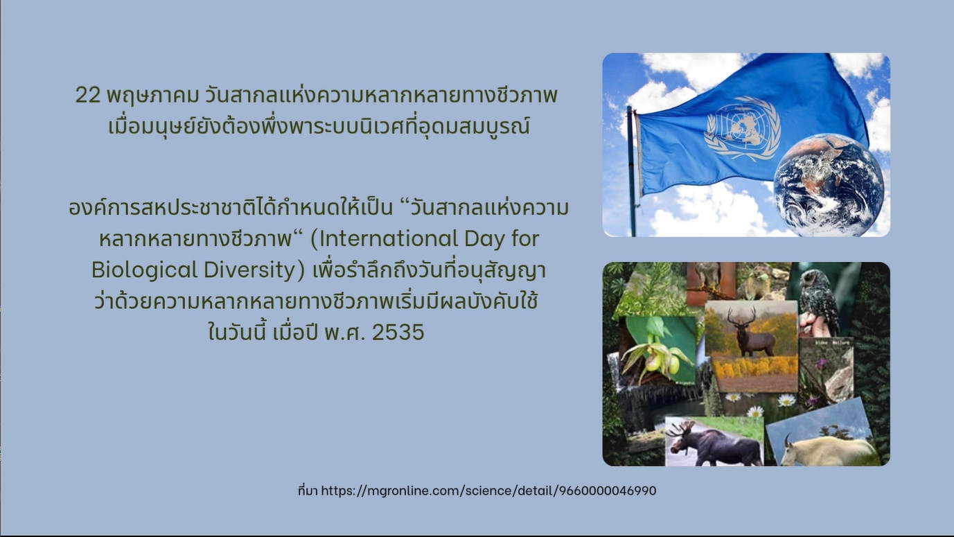 22 พฤษภาคม -วันสากลแห่งความหลากหลายทางชีวภาพ