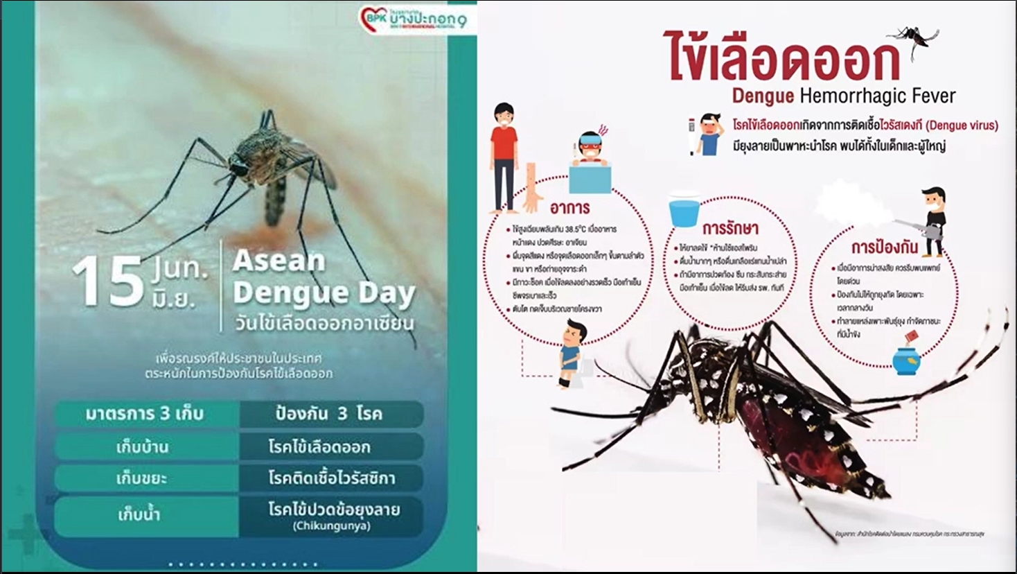15 มิถุนายน "วันไข้เลือดออกอาเซียน" (ASEAN Dengue Day)