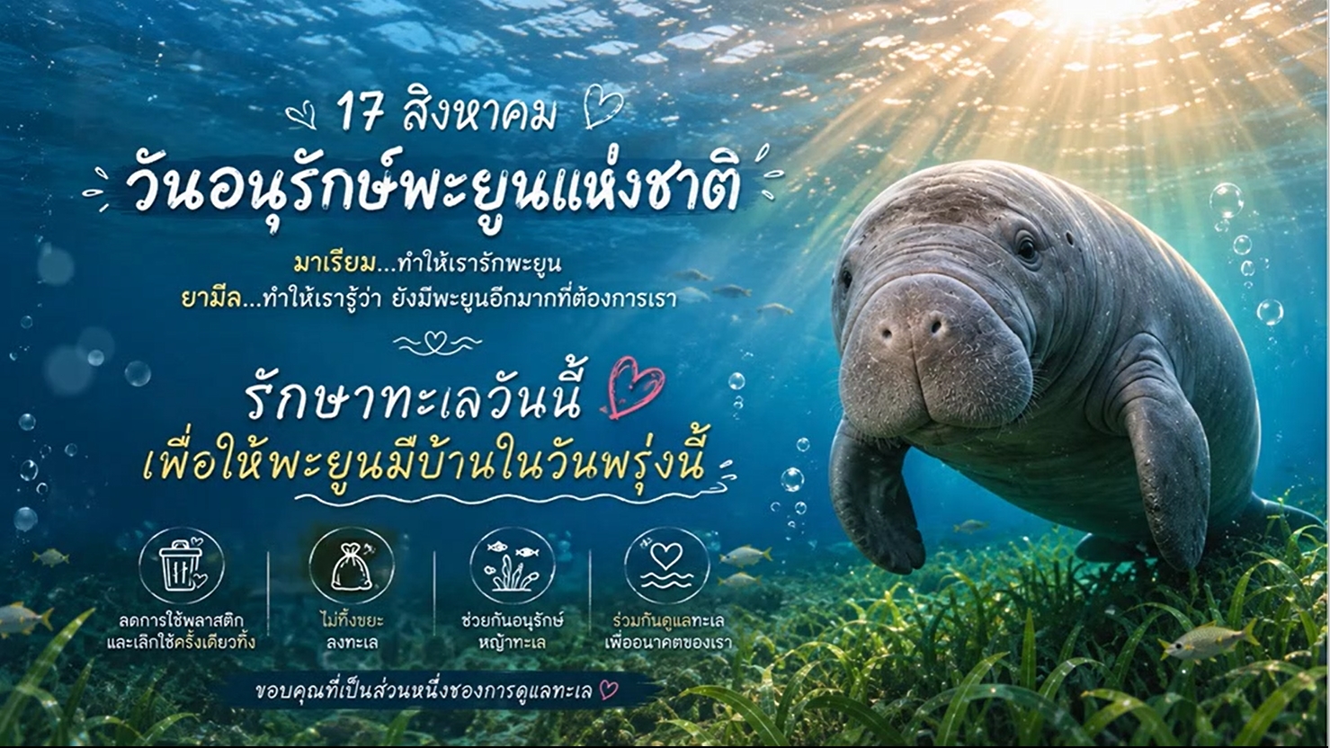 17 สิงหาคม - "วันอนุรักษ์พะยูนแห่งชาติ"