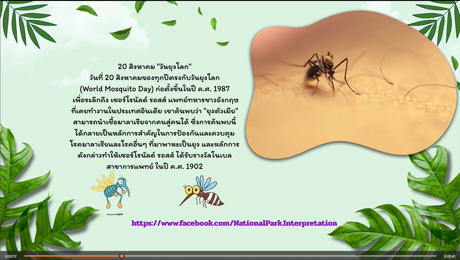 20 สิงหาคม - วันยุงโลก (World Mosquito Day)