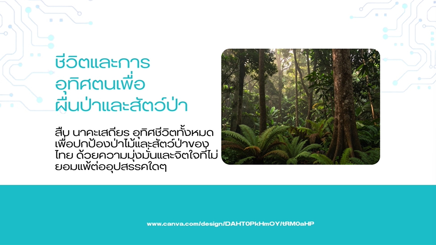 1 กันยายน - วันสืบ นาคะเสถียร