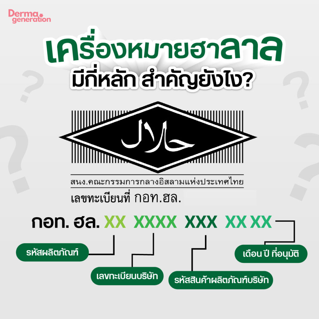 Uploaded Image